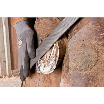 PFERD Feilen für Holz und Raspeln 3515 350